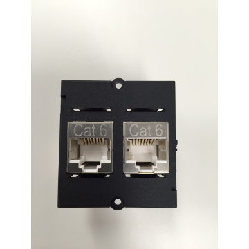 UTP(Cat6) internet module Bachmann dubbel