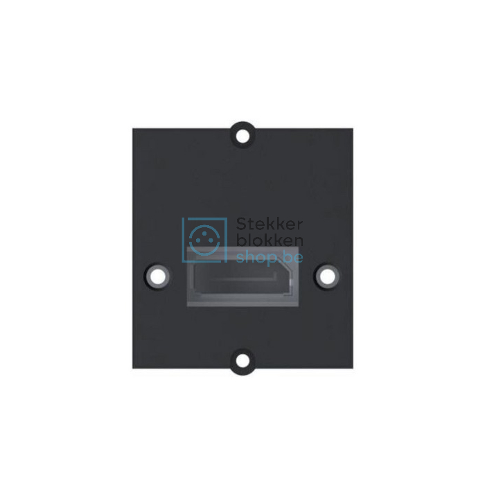 DisplayPort module Bachmann 917.145
