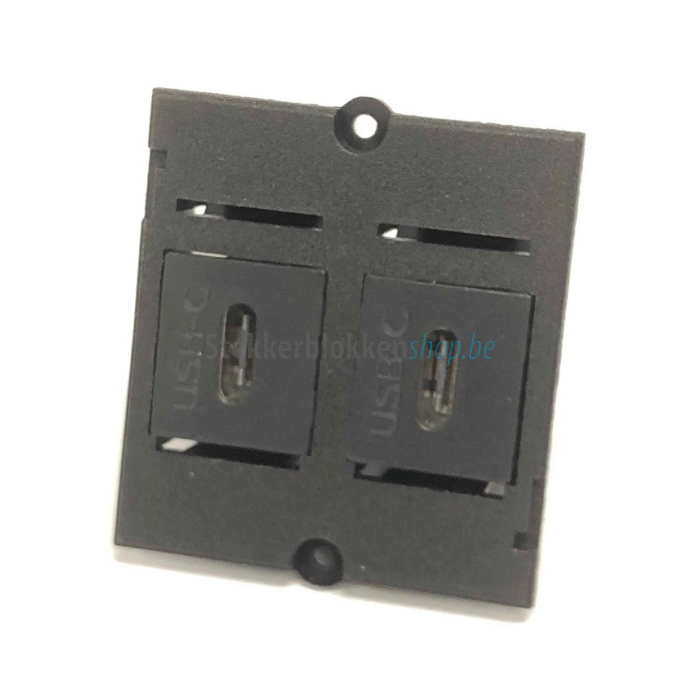 USB-C 3.1 module keystone dubbel
